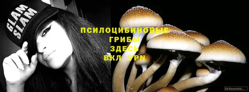 Псилоцибиновые грибы MAGIC MUSHROOMS  Разумное 