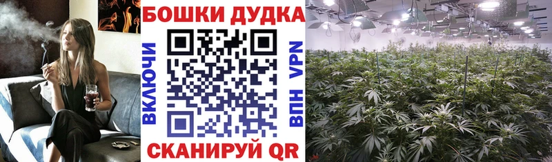 Каннабис планчик Разумное